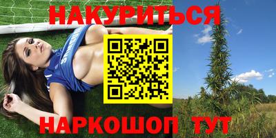 винт Сланцы
