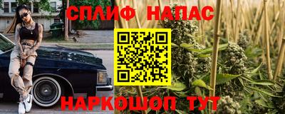 a pvp Славянск-на-Кубани