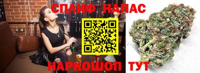 ГАЛЛЮЦИНОГЕННЫЕ ГРИБЫ Свободный