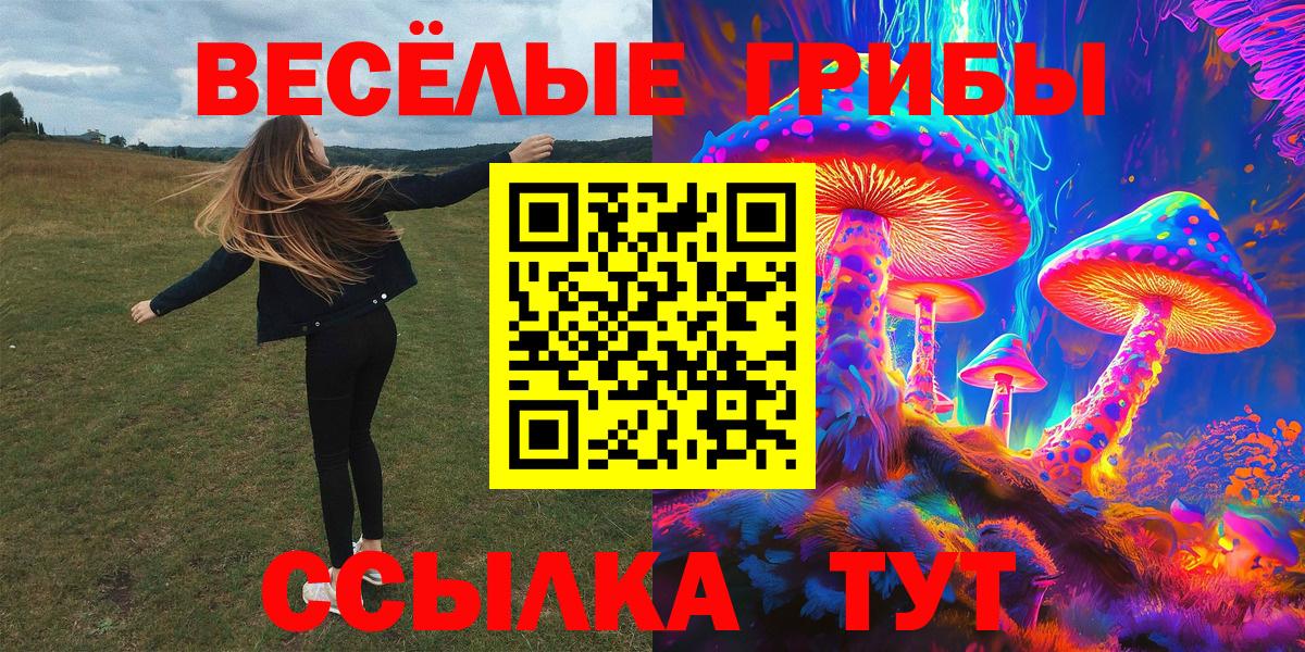 Галлюциногенные грибы ЛСД Новокубанск