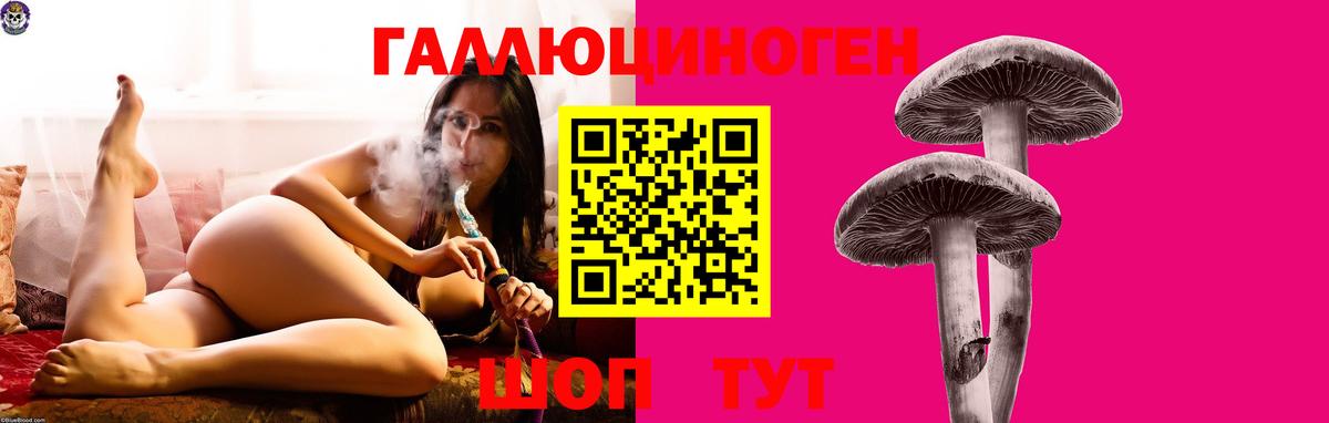 Новокубанск  Галлюциногенные грибы прущие грибы  Вход с VPN 